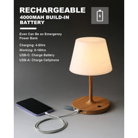 Outdoor Operated Table Lamp , 4000Mah Cordless Rechargeable, Touch Dimmable Desk Lamp, LED Night Light for Patio Camping Restaurant Home, H9.6In, Grain